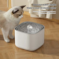 Fuente de Agua para Mascotas con Filtro — Bebedero Automático 3L
