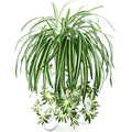 Planta Artificial en Cesta Tejida — Decoración sin Mantenimiento